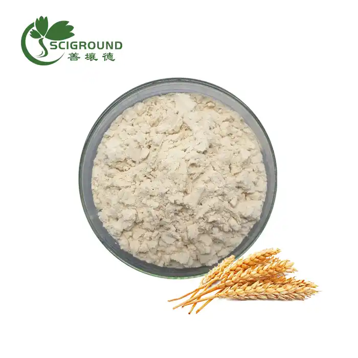Poudre de protéine de blé hydrolysée